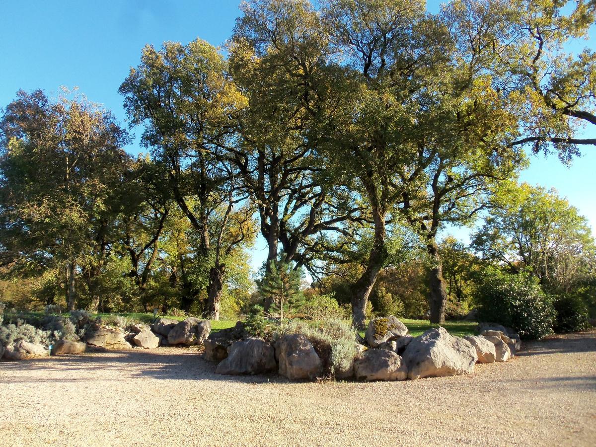 Chambres Et Jardin De Pierres Espédaillac Εξωτερικό φωτογραφία